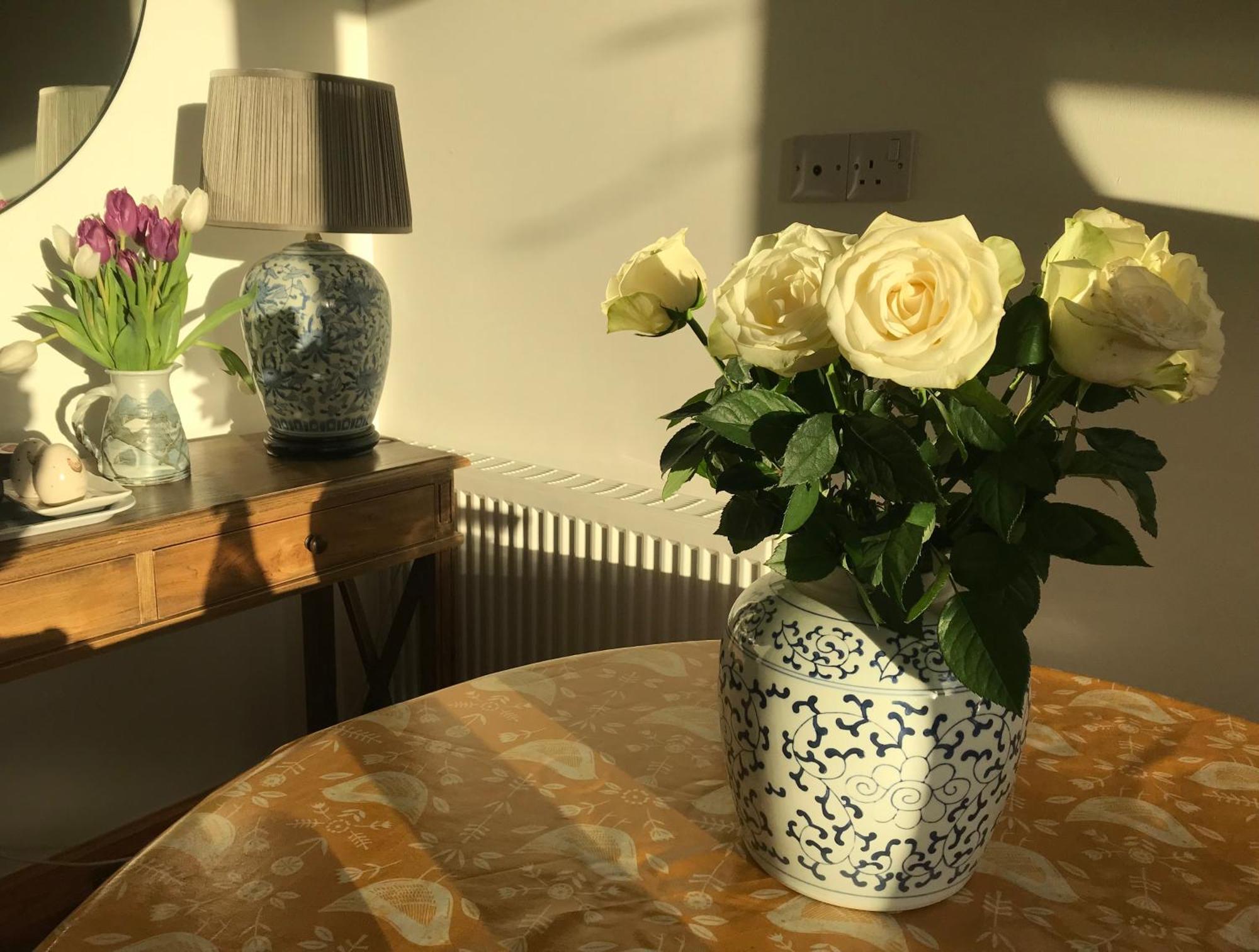 City Central Quiet Garden Apartment With Free Parking Inverness Eksteriør billede