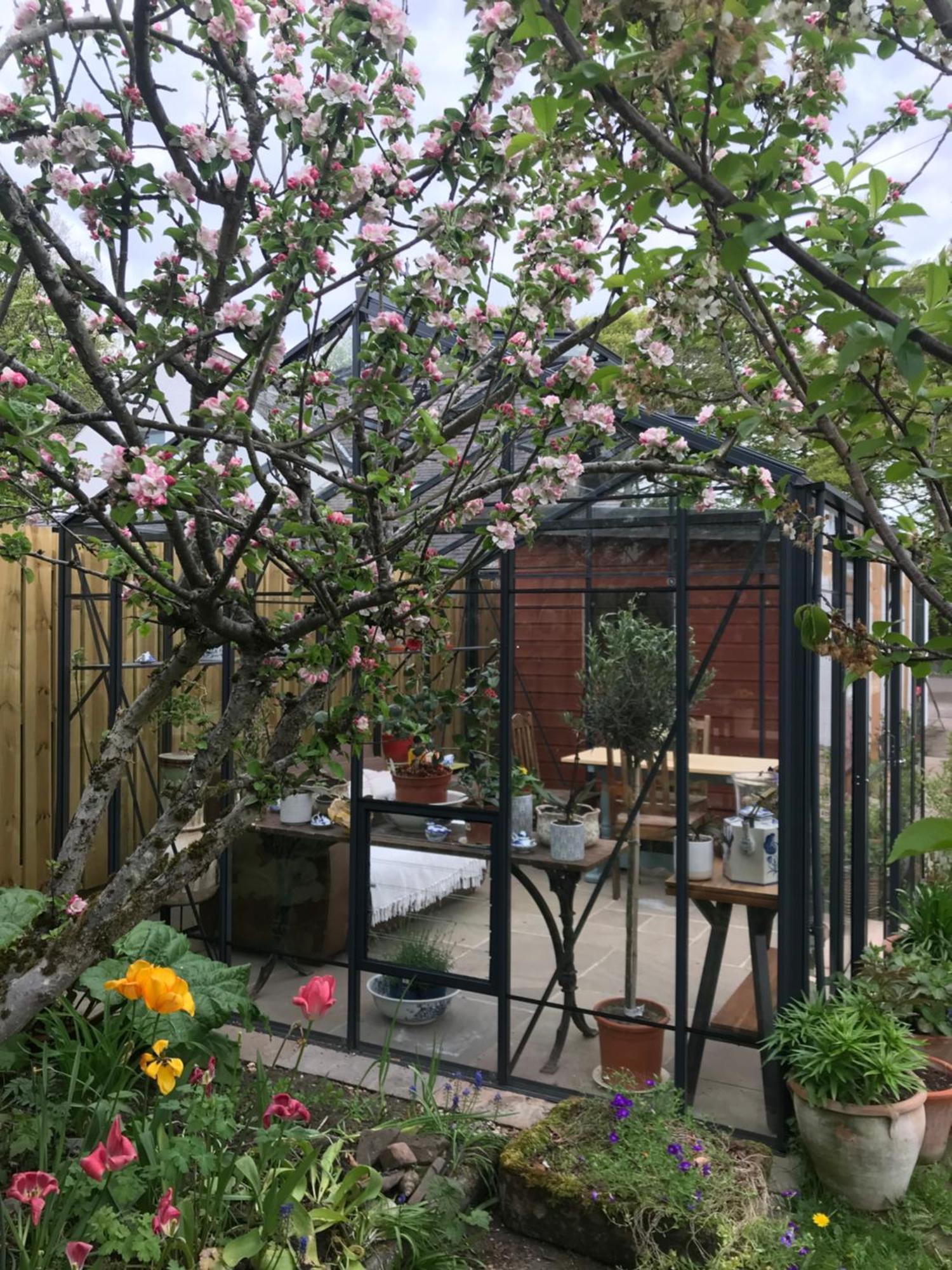 City Central Quiet Garden Apartment With Free Parking Inverness Eksteriør billede